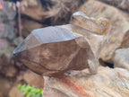 Natural Smokey Quartz Crystals x 4 From Erongo, Namibia - Toprock Gemstones and Minerals 