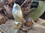 Natural Smokey Quartz Crystals x 4 From Erongo, Namibia - Toprock Gemstones and Minerals 