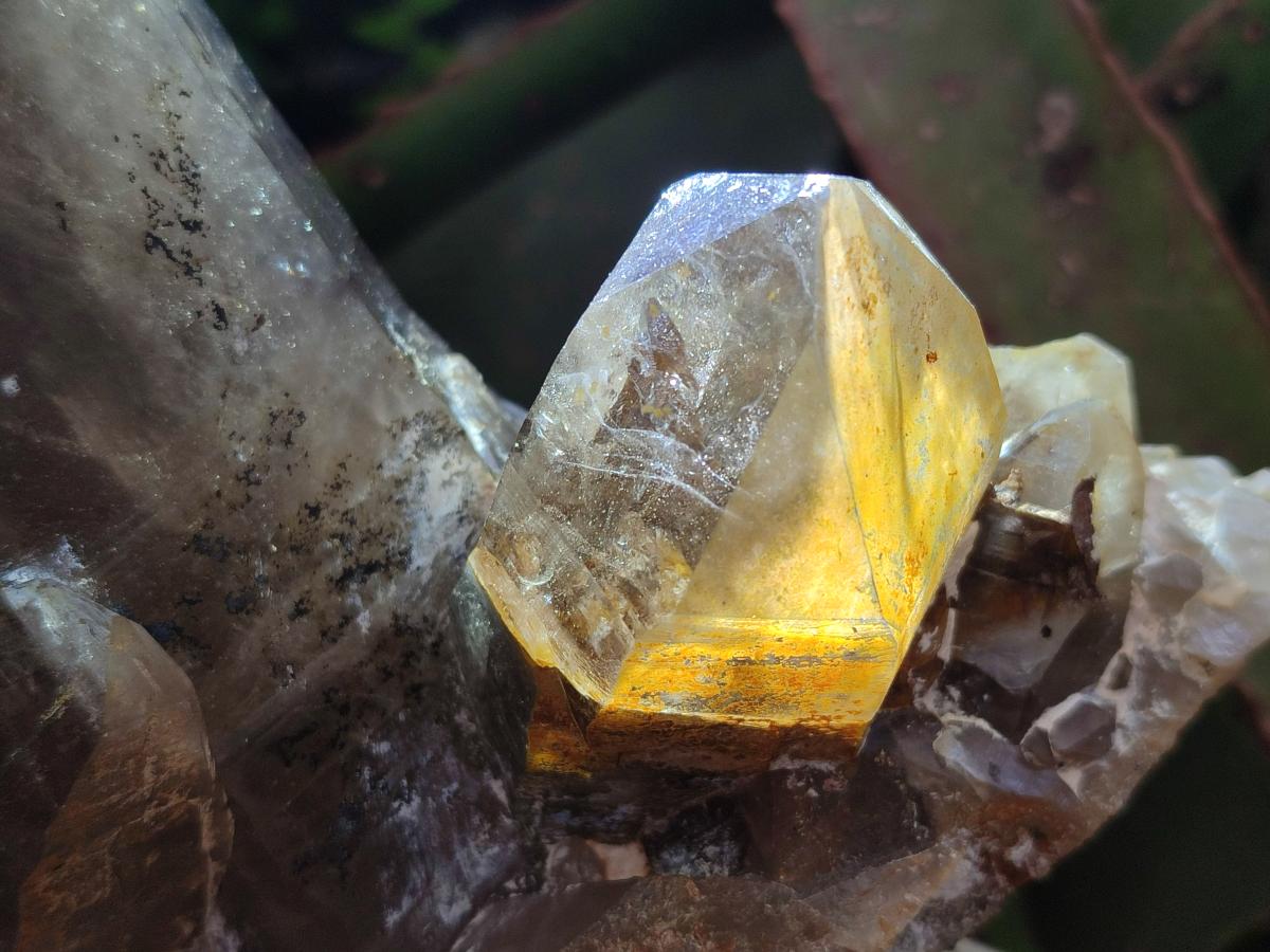 Natural Smokey Quartz Crystals x 4 From Erongo, Namibia - Toprock Gemstones and Minerals 