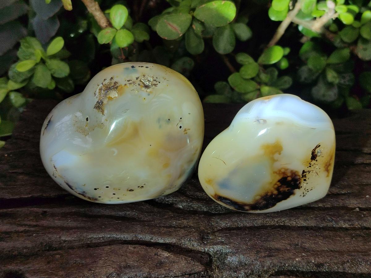Polished Banded Agate Hearts x 6 From Madagascar - Toprock Gemstones and Minerals 