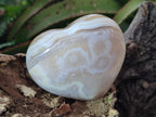 Polished Banded Agate Hearts x 6 From Madagascar - Toprock Gemstones and Minerals 