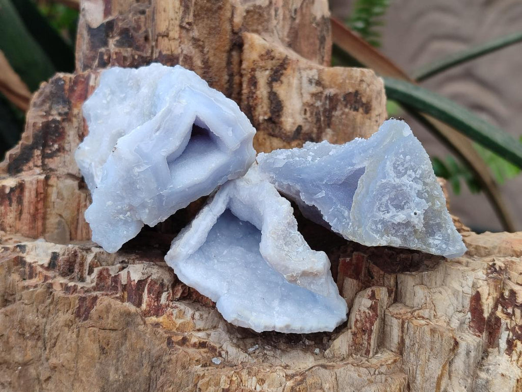 Natural Etched Blue Chalcedony Specimens x 12 From Nsanje, Malawi - Toprock Gemstones and Minerals 