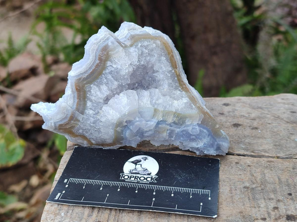 Natural Etched Blue Chalcedony Specimens x 12 From Nsanje, Malawi - Toprock Gemstones and Minerals 