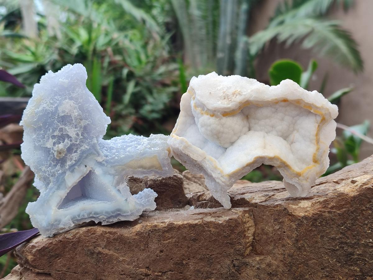 Natural Etched Blue Chalcedony Specimens x 12 From Nsanje, Malawi - Toprock Gemstones and Minerals 
