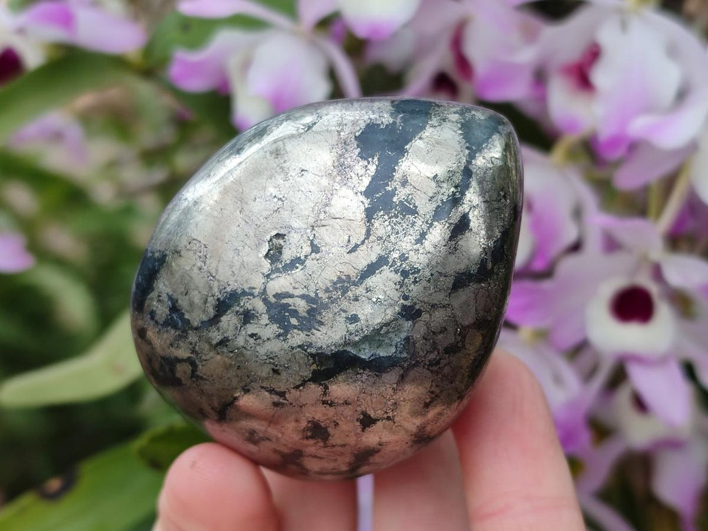 Polished Basalt Pharaoh Stone Free Forms x 12 From Iron Duke Mine, Zimbabwe - Toprock Gemstones and Minerals 
