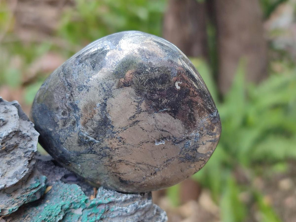 Polished Basalt Pharaoh Stone Free Forms x 12 From Iron Duke Mine, Zimbabwe - Toprock Gemstones and Minerals 