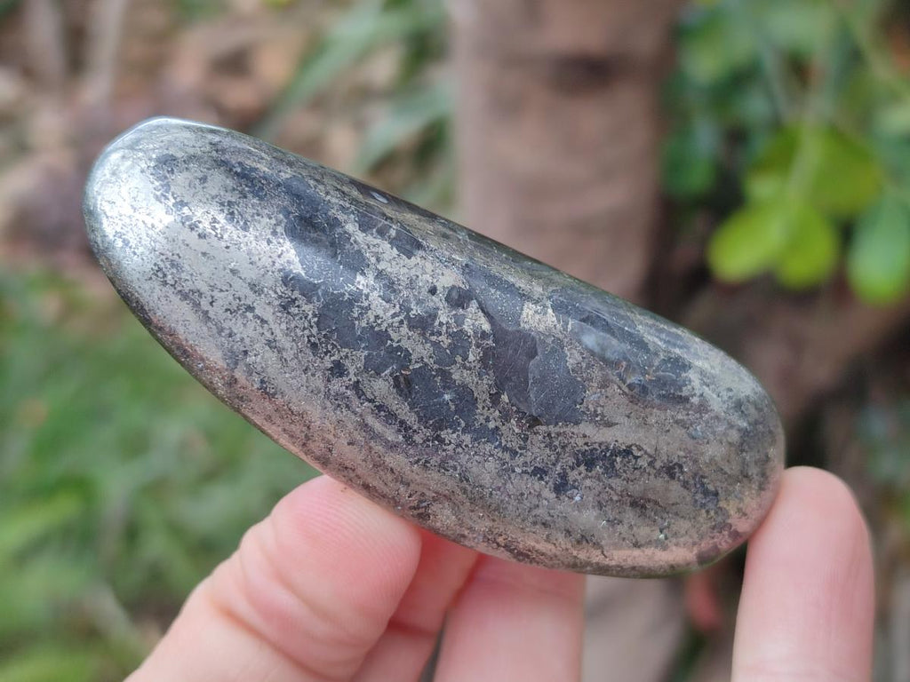 Polished Basalt Pharaoh Stone Free Forms x 12 From Iron Duke Mine, Zimbabwe - Toprock Gemstones and Minerals 