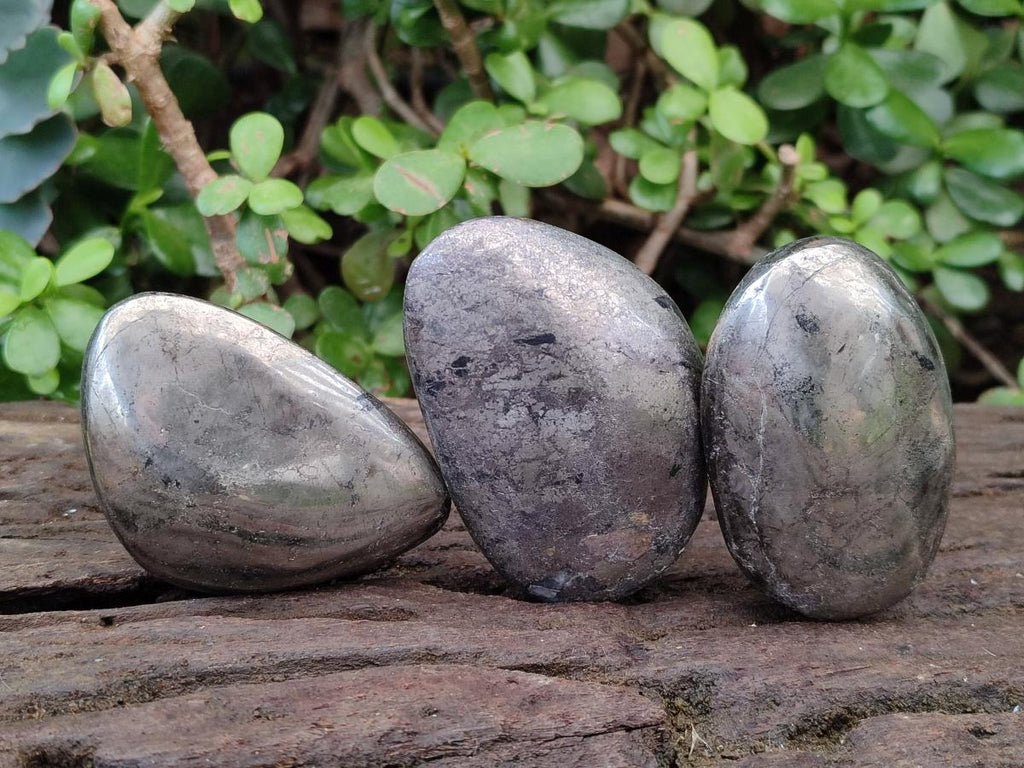 Polished Basalt Pharaoh Stone Free Forms x 12 From Iron Duke Mine, Zimbabwe - Toprock Gemstones and Minerals 