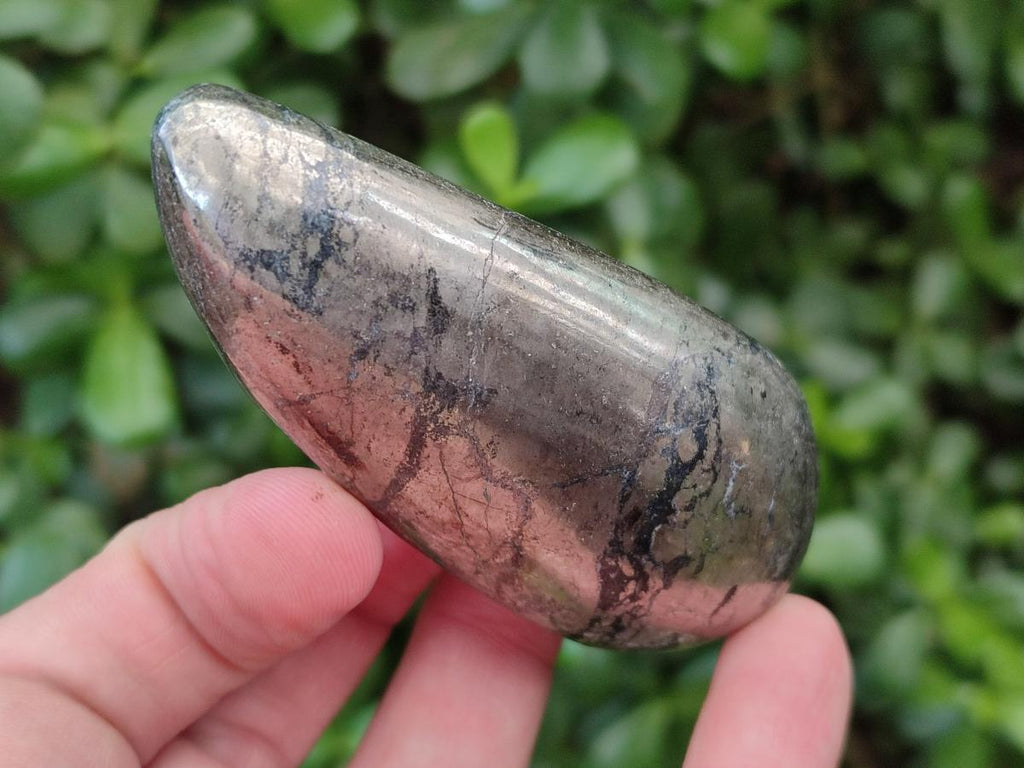 Polished Basalt Pharaoh Stone Free Forms x 12 From Iron Duke Mine, Zimbabwe - Toprock Gemstones and Minerals 