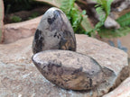 Polished Basalt Pharaoh Stone Free Forms x 12 From Iron Duke Mine, Zimbabwe - Toprock Gemstones and Minerals 