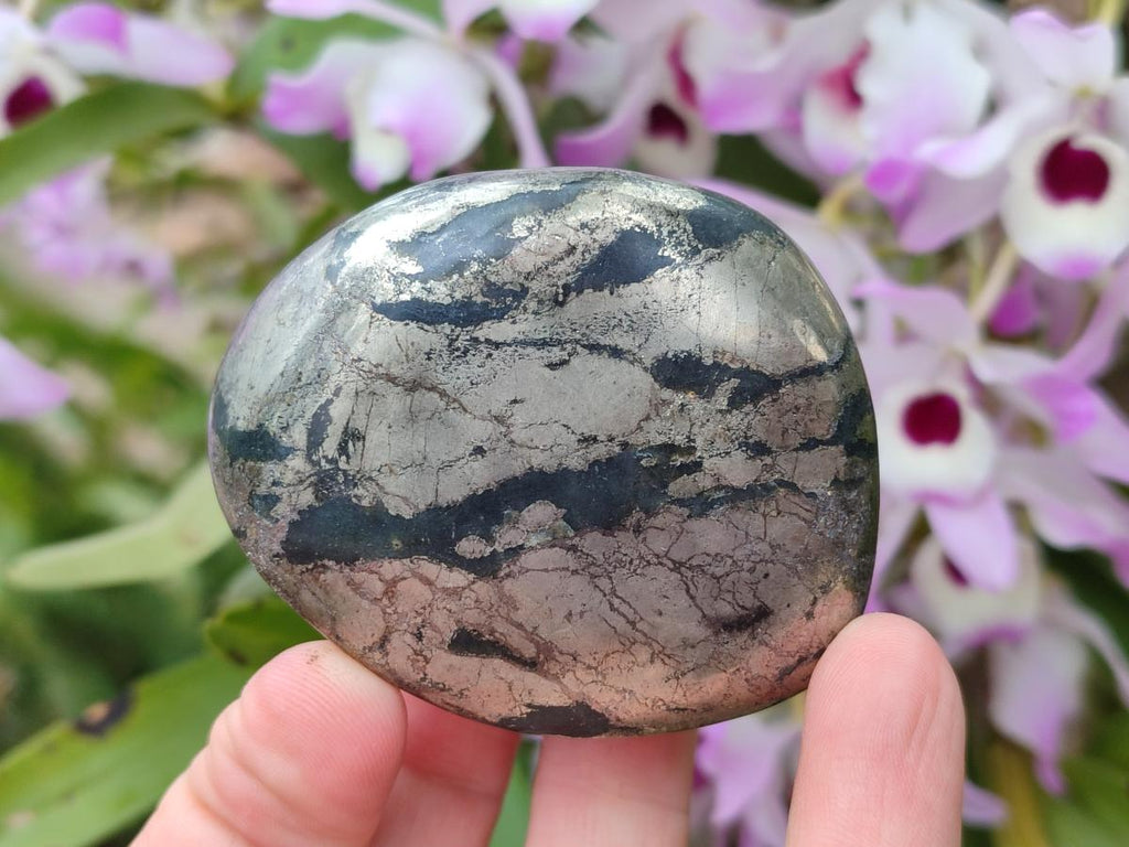 Polished Basalt Pharaoh Stone Free Forms x 12 From Iron Duke Mine, Zimbabwe - Toprock Gemstones and Minerals 