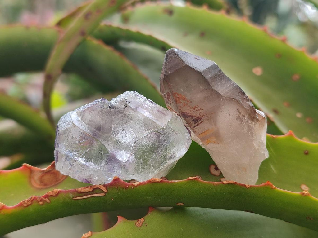 Natural MIni Mix of Mineral Specimens x 90 From Erongo, Namibia - Toprock Gemstones and Minerals 