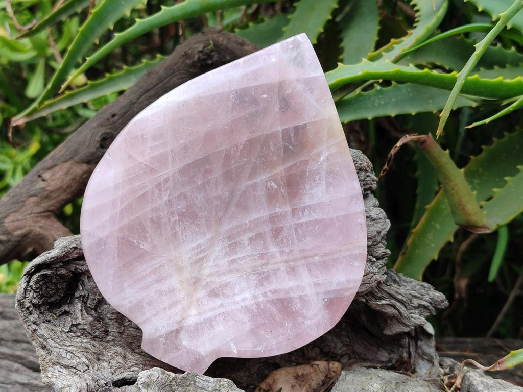 Hand Made Gemmy Rose Quartz Leaf Bowl Carvings x 4 From Madagascar - Toprock Gemstones and Minerals 