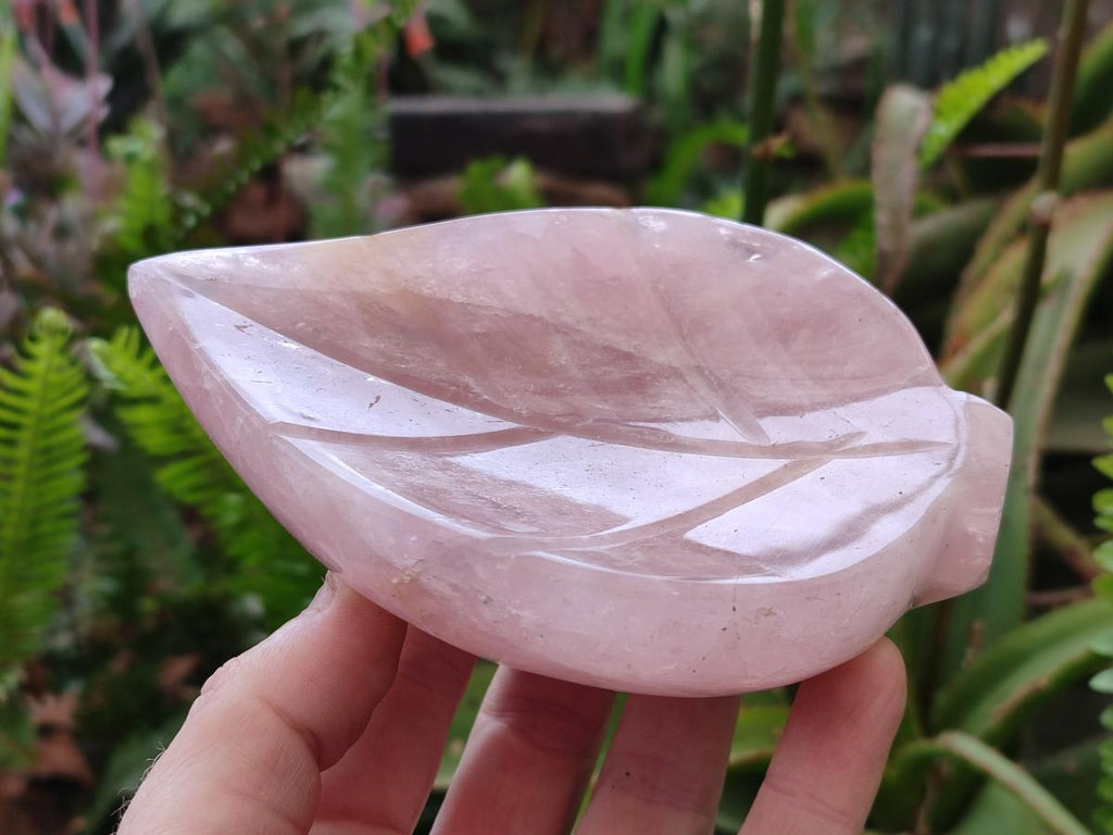 Hand Made Gemmy Rose Quartz Leaf Bowl Carvings x 4 From Madagascar - Toprock Gemstones and Minerals 