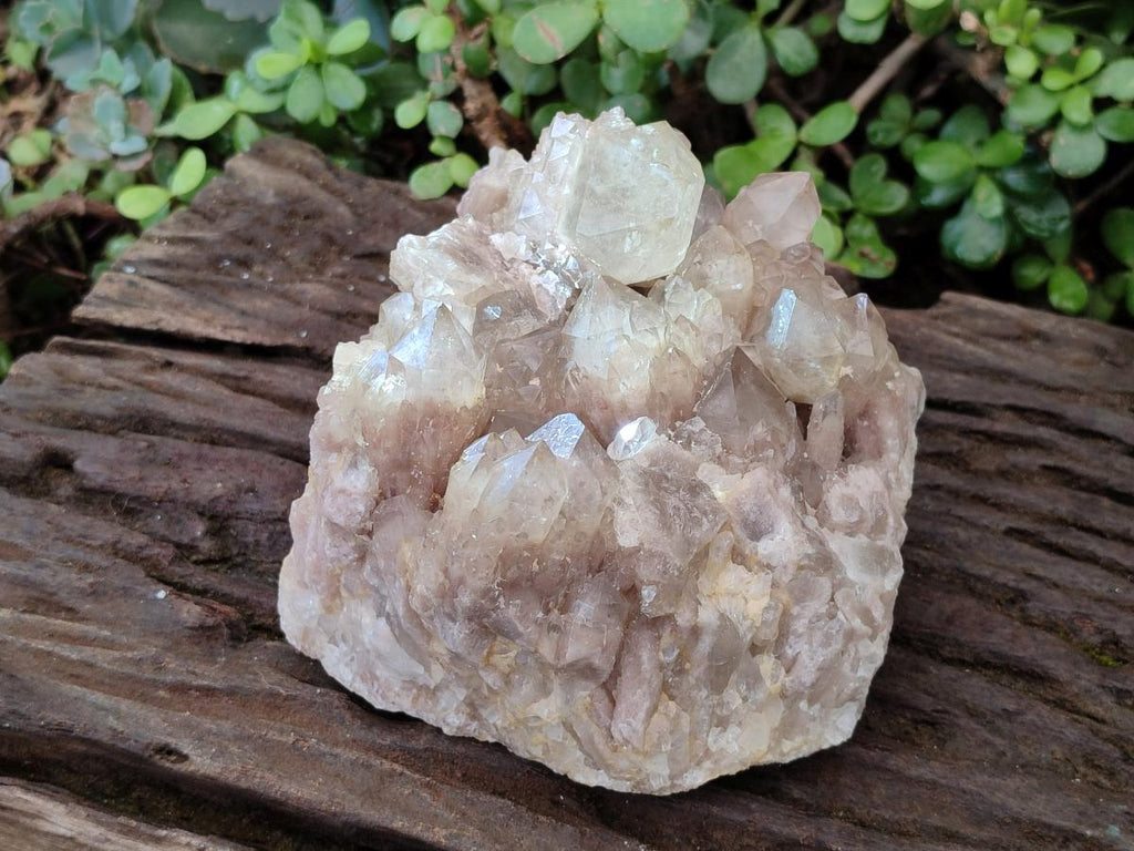 Natural Large Cascading White Phantom Smokey Luena Quartz Cluster x 1 From Luena, Congo - Toprock Gemstones and Minerals 