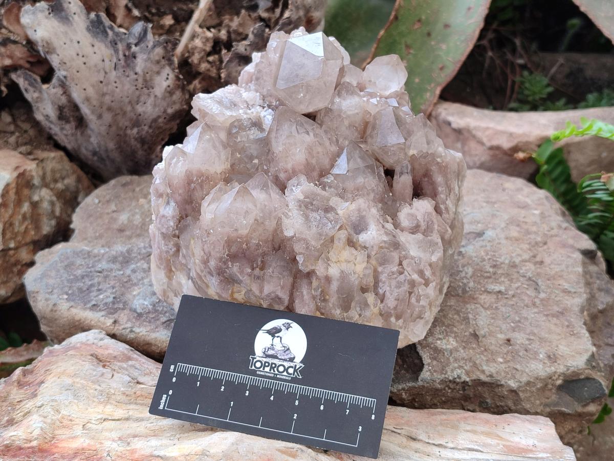 Natural Large Cascading White Phantom Smokey Luena Quartz Cluster x 1 From Luena, Congo - Toprock Gemstones and Minerals 