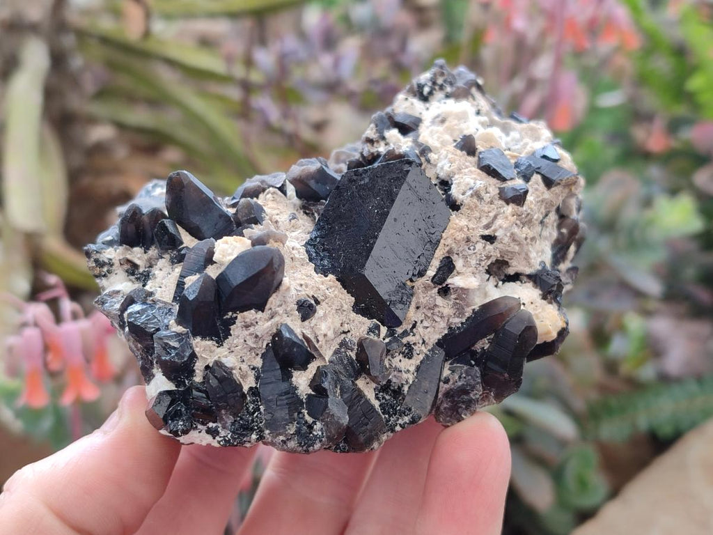 Natural Schorl Black Tourmaline with Associated Minerals x 4 From Erongo, Namibia - Toprock Gemstones and Minerals 
