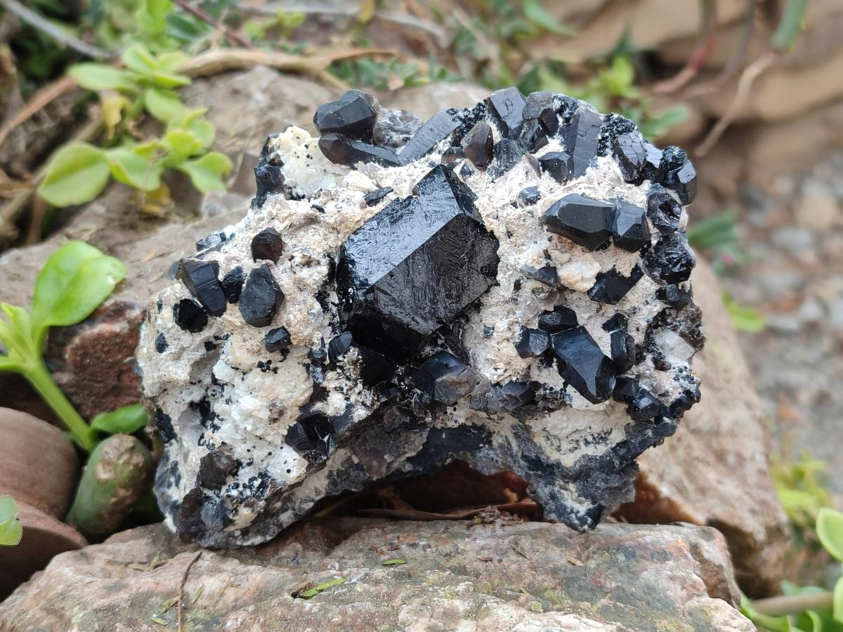 Natural Schorl Black Tourmaline with Associated Minerals x 4 From Erongo, Namibia - Toprock Gemstones and Minerals 