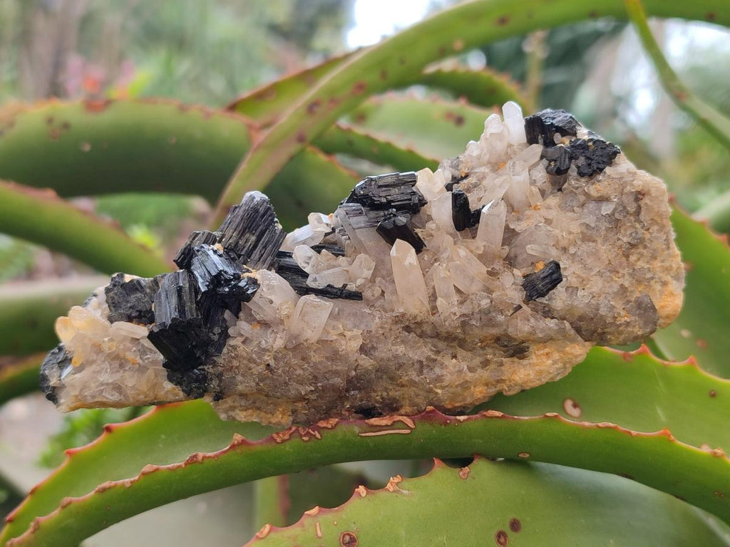 Natural Schorl Black Tourmaline with Associated Minerals x 4 From Erongo, Namibia - Toprock Gemstones and Minerals 