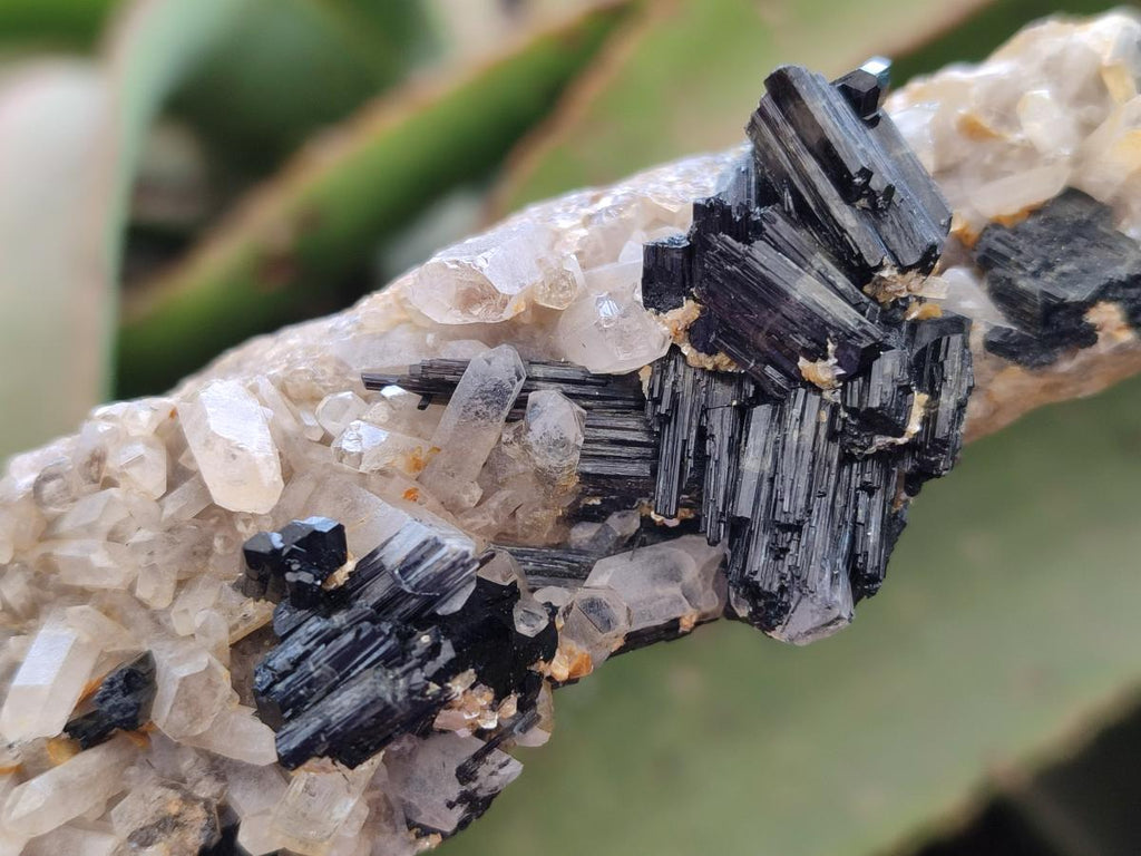 Natural Schorl Black Tourmaline with Associated Minerals x 4 From Erongo, Namibia - Toprock Gemstones and Minerals 