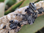 Natural Schorl Black Tourmaline with Associated Minerals x 4 From Erongo, Namibia - Toprock Gemstones and Minerals 