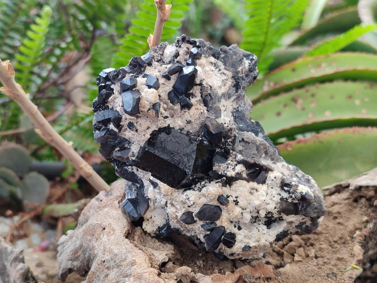 Natural Schorl Black Tourmaline with Associated Minerals x 4 From Erongo, Namibia - Toprock Gemstones and Minerals 