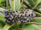 Natural Schorl Black Tourmaline with Associated Minerals x 4 From Erongo, Namibia - Toprock Gemstones and Minerals 