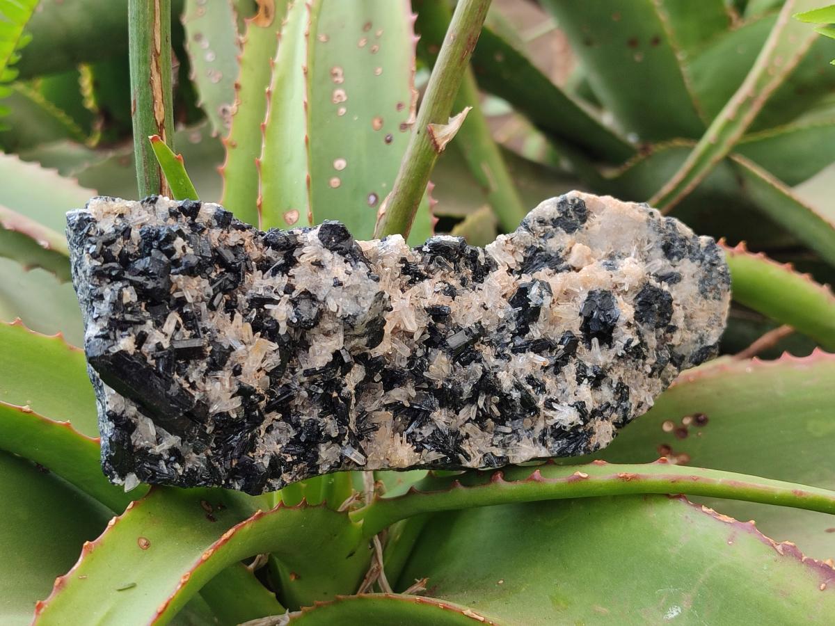 Natural Schorl Black Tourmaline with Associated Minerals x 4 From Erongo, Namibia - Toprock Gemstones and Minerals 