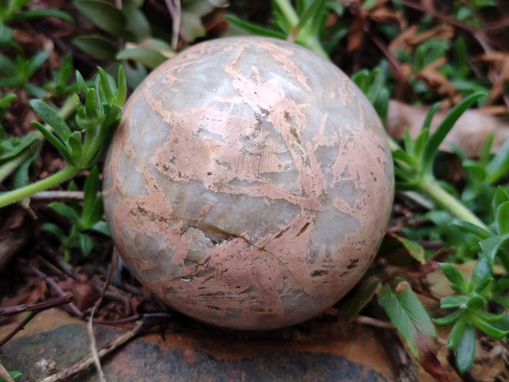 Polished Runestone Feldspar Spheres x 8 From Zimbabwe - Toprock Gemstones and Minerals 