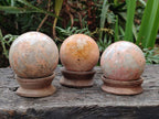Polished Runestone Feldspar Spheres x 8 From Zimbabwe - Toprock Gemstones and Minerals 