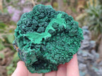 Natural Silky Malachite Specimens x 3 From Kasompe, Congo - Toprock Gemstones and Minerals 