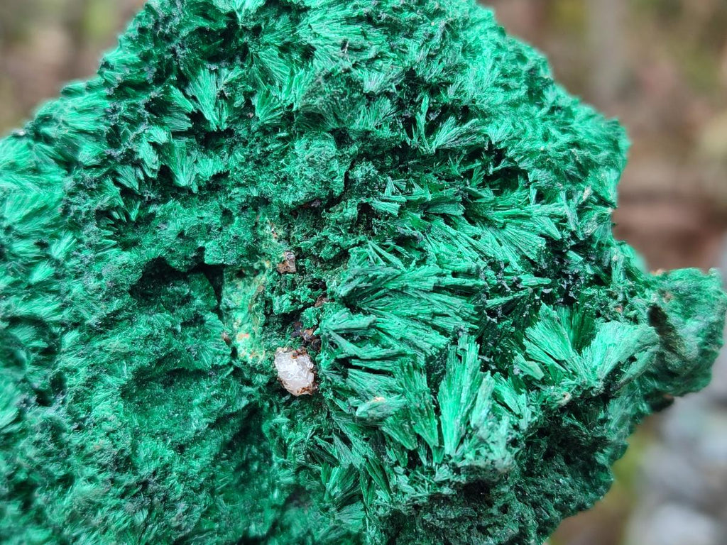 Natural Silky Malachite Specimens x 3 From Kasompe, Congo - Toprock Gemstones and Minerals 