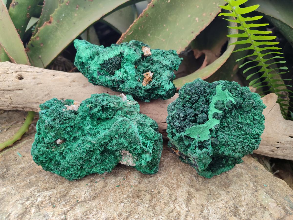 Natural Silky Malachite Specimens x 3 From Kasompe, Congo - Toprock Gemstones and Minerals 