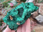 Natural Silky Malachite Specimens x 3 From Kasompe, Congo - Toprock Gemstones and Minerals 