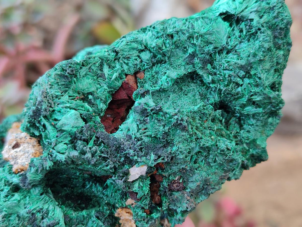 Natural Silky Malachite Specimens x 3 From Kasompe, Congo - Toprock Gemstones and Minerals 