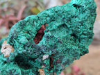 Natural Silky Malachite Specimens x 3 From Kasompe, Congo - Toprock Gemstones and Minerals 