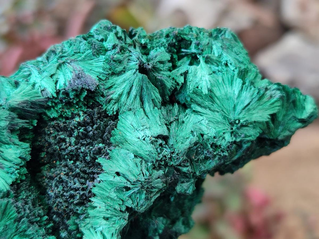 Natural Silky Malachite Specimens x 3 From Kasompe, Congo - Toprock Gemstones and Minerals 