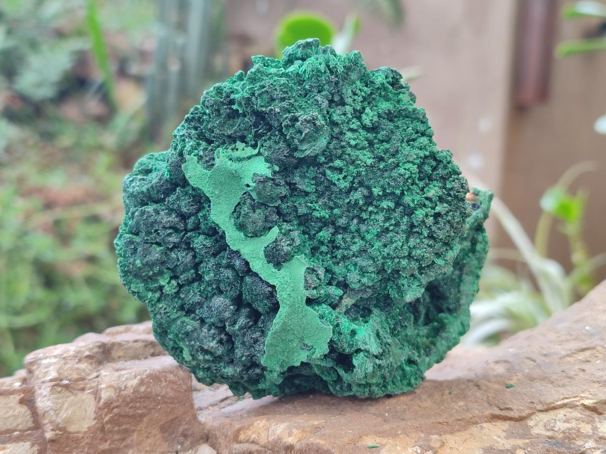 Natural Silky Malachite Specimens x 3 From Kasompe, Congo - Toprock Gemstones and Minerals 