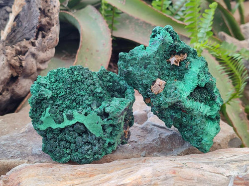 Natural Silky Malachite Specimens x 3 From Kasompe, Congo - Toprock Gemstones and Minerals 