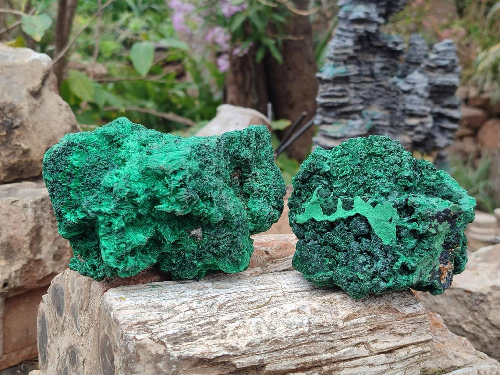 Natural Silky Malachite Specimens x 3 From Kasompe, Congo - Toprock Gemstones and Minerals 
