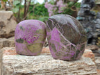 Polished Stichtite Standing Display Pieces x 6 From Barberton, South Africa - Toprock Gemstones and Minerals 