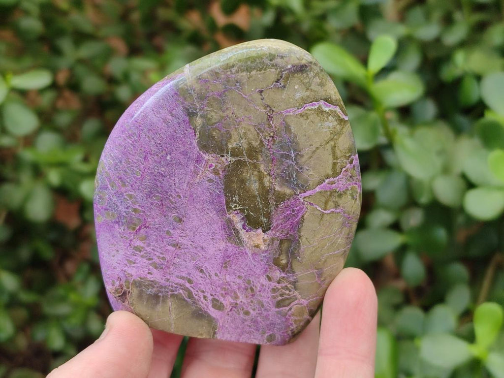 Polished Stichtite Standing Display Pieces x 6 From Barberton, South Africa - Toprock Gemstones and Minerals 