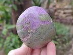 Polished Stichtite Standing Display Pieces x 6 From Barberton, South Africa - Toprock Gemstones and Minerals 