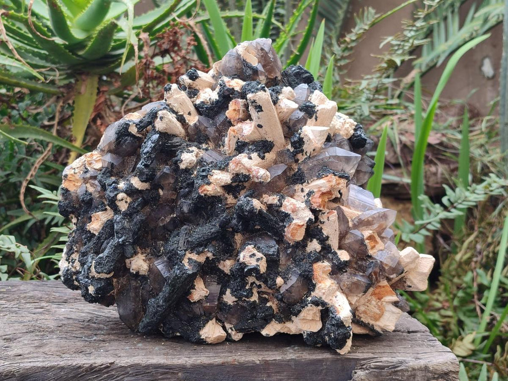 Natural XL Smokey Quartz Specimen with Associated Minerals x 1 From Erongo, Namibia - Toprock Gemstones and Minerals 