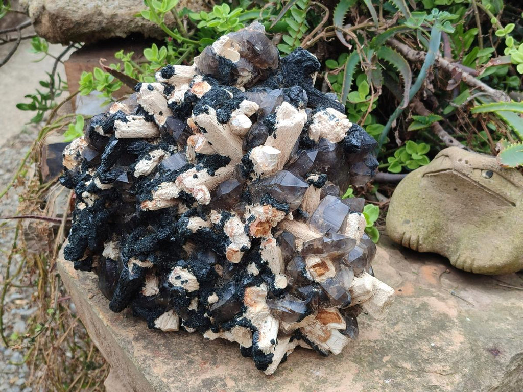 Natural XL Smokey Quartz Specimen with Associated Minerals x 1 From Erongo, Namibia - Toprock Gemstones and Minerals 