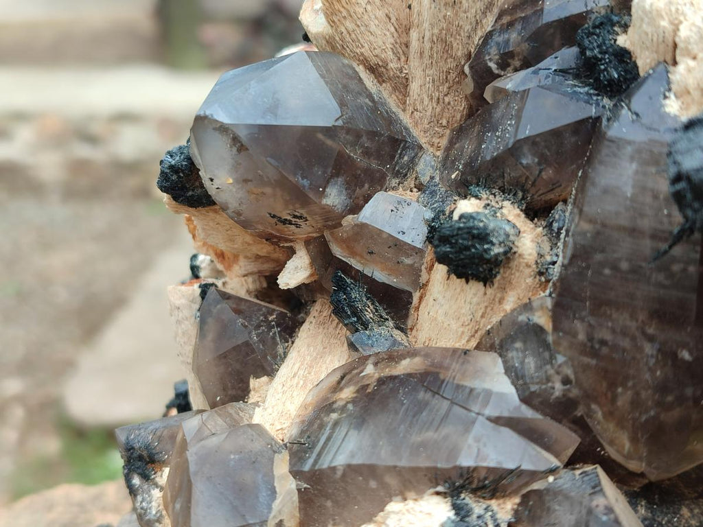 Natural XL Smokey Quartz Specimen with Associated Minerals x 1 From Erongo, Namibia - Toprock Gemstones and Minerals 