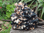 Natural XL Smokey Quartz Specimen with Associated Minerals x 1 From Erongo, Namibia - Toprock Gemstones and Minerals 