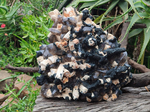 Natural XL Smokey Quartz Specimen with Associated Minerals x 1 From Erongo, Namibia - Toprock Gemstones and Minerals 