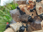 Natural XL Smokey Quartz Specimen with Associated Minerals x 1 From Erongo, Namibia - Toprock Gemstones and Minerals 