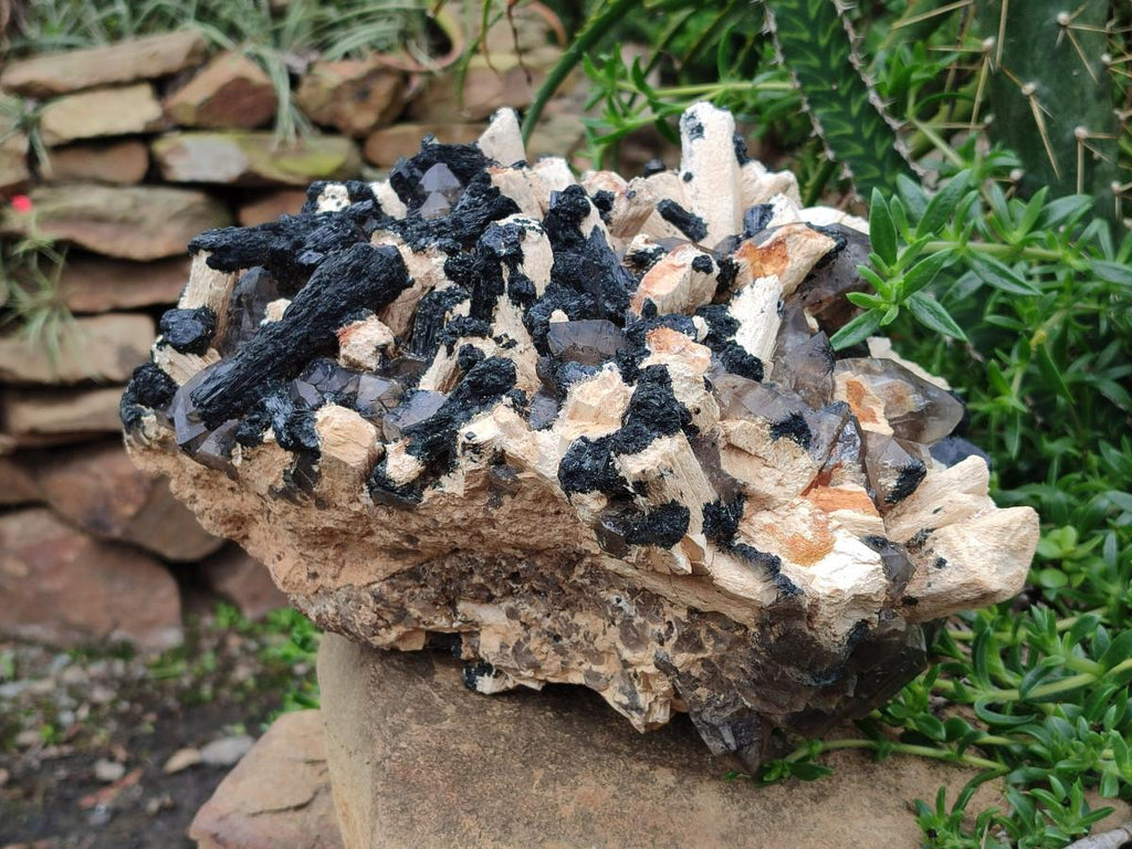 Natural XL Smokey Quartz Specimen with Associated Minerals x 1 From Erongo, Namibia - Toprock Gemstones and Minerals 